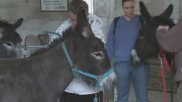 Yvelines Campus - Bergerie nationale de Rambouillet