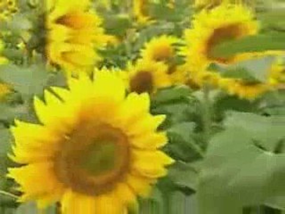 Мой любимый Харьков - Kharkov