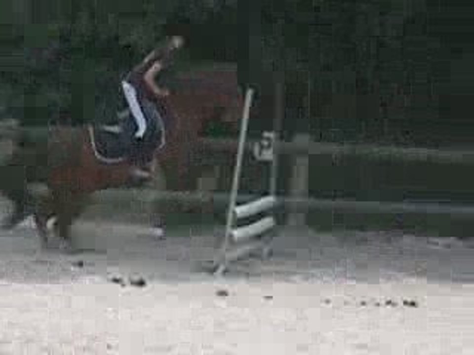 Concours du centre avec Loou <3