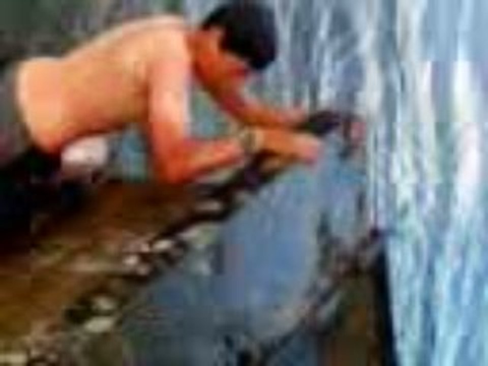moi le 2 ema sauter