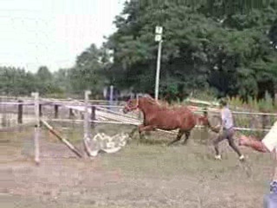 IMGP5579