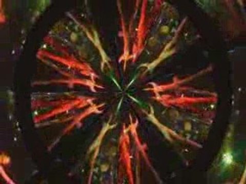 magnolias de claude françois par patrice murat