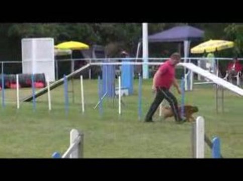 Bango Open Agility Messimy 19/07/2009