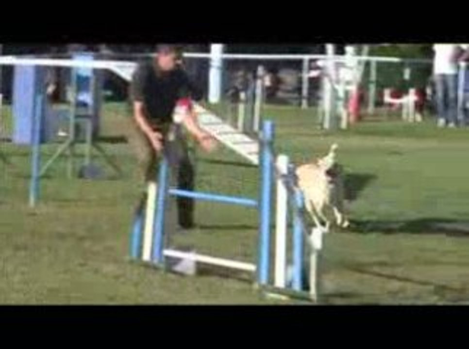 Alaska Open Agility Messimy 19/07/2009