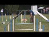 Alaska GPF Agility Messimy 19/07/2009