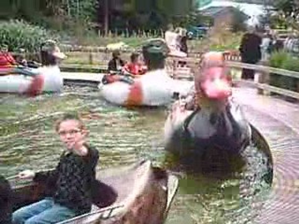 la rondes canards