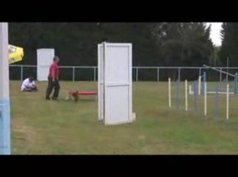 Bango Degré Agility Messimy 19/07/2009