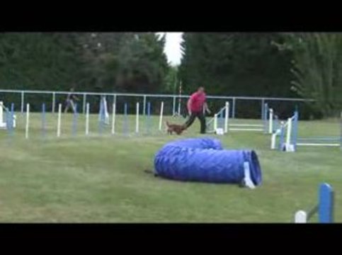 Bango Jumping Agility Messimy 19/07/2009