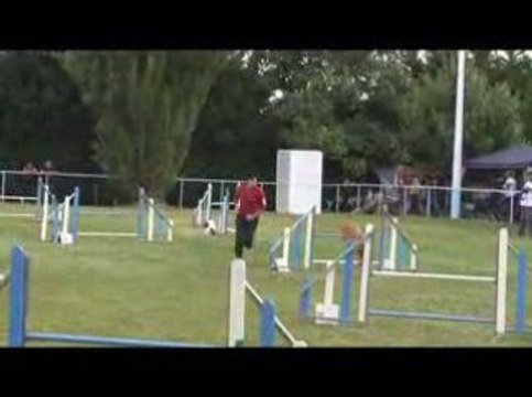 Sindbad Jumping Agility Messimy 19/07/2009