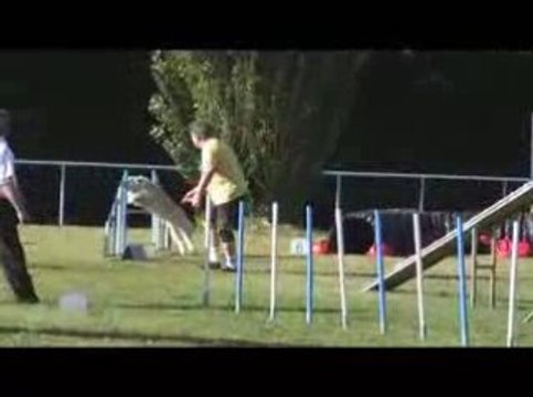 Salsa Open Agility Messimy 19/07/2009