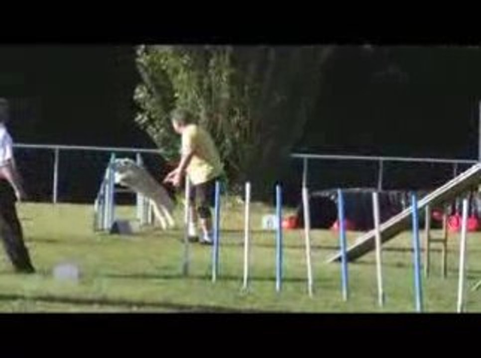 Salsa Open Agility Messimy 19/07/2009