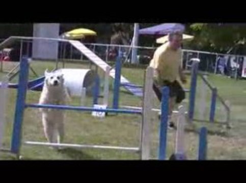 Salsa Degré Agility Messimy 19/07/2009