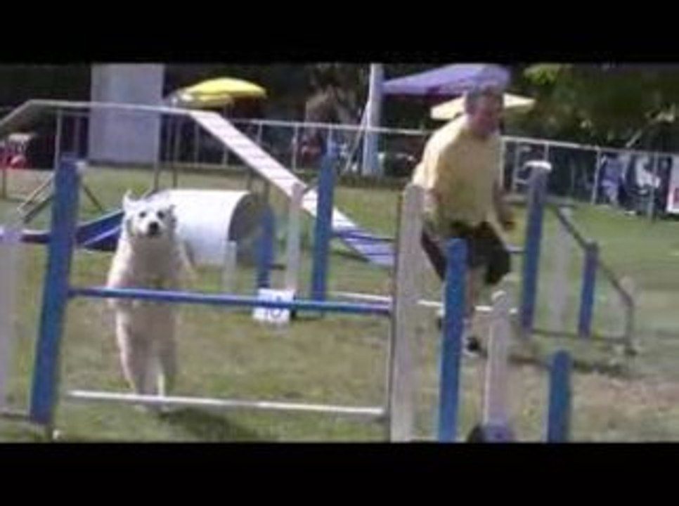 Salsa Degré Agility Messimy 19/07/2009