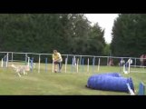 Salsa Jumping Agility Messimy 19/07/2009