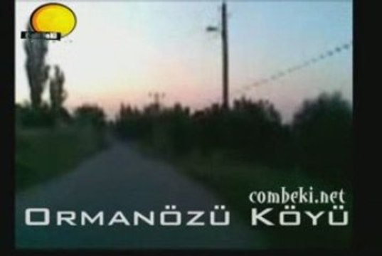 Ormanözü Köyü (Konya - Ilgın)