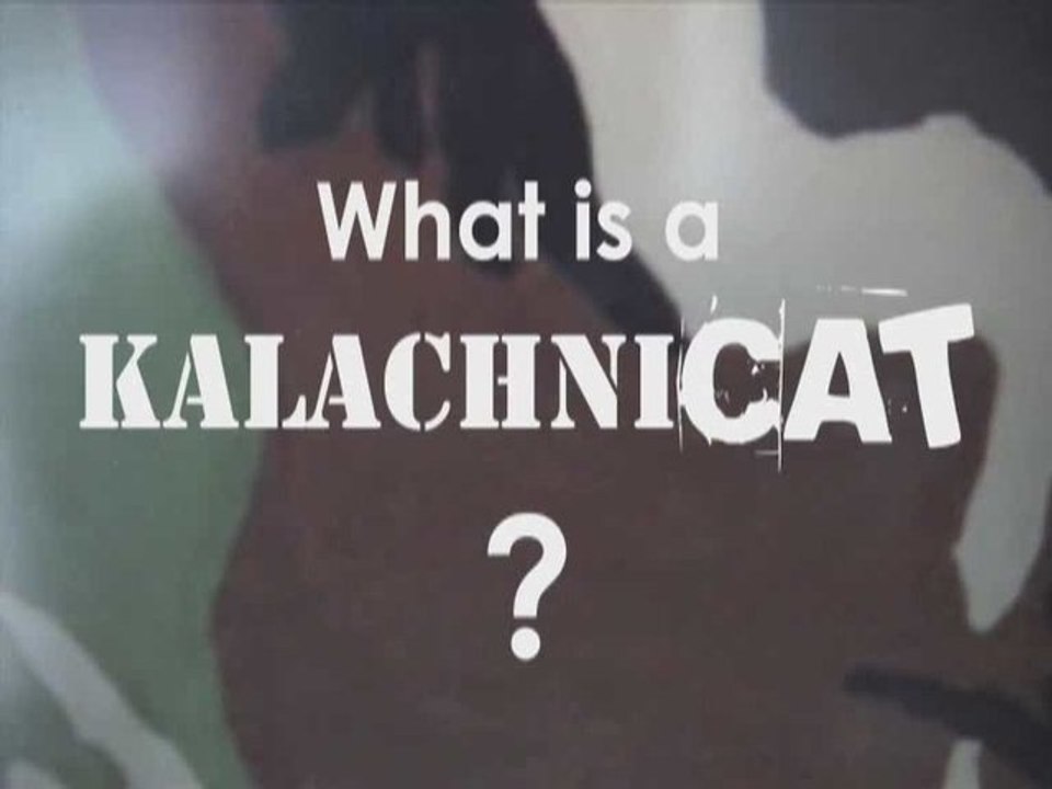 The KalachniCAT!