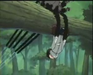 naruto les ptites bêbetes