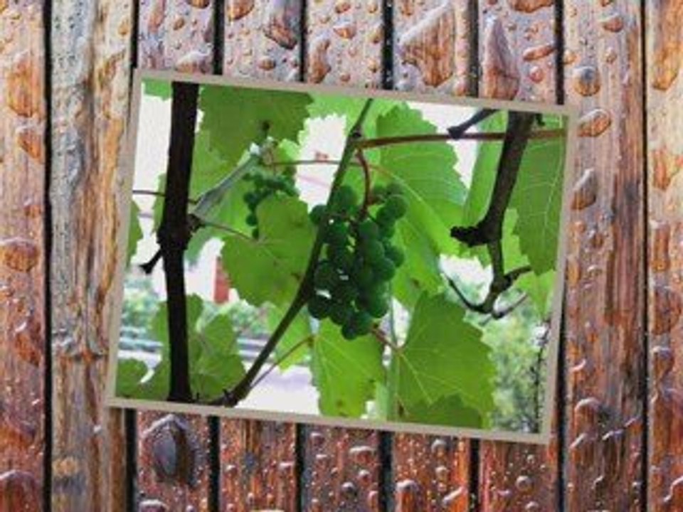 Annot Alpes de haute provence