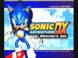 Sonic adventure DX     ( GC )