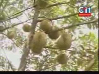 CTN Khmer News- 20 July 2009-2