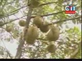 CTN Khmer News- 20 July 2009-2