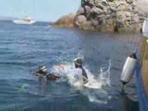 Plongée sous-marine