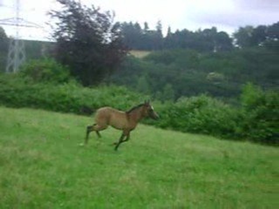 mes deux amours/montage