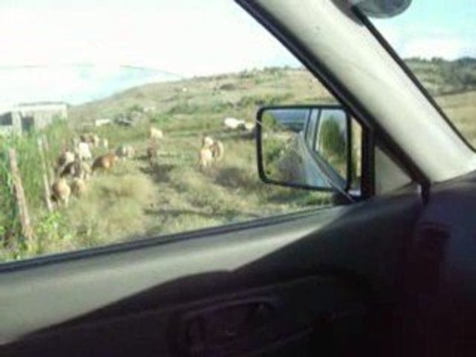 Rodrigues way of life