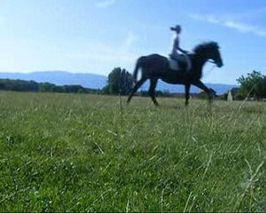 20.07.2009