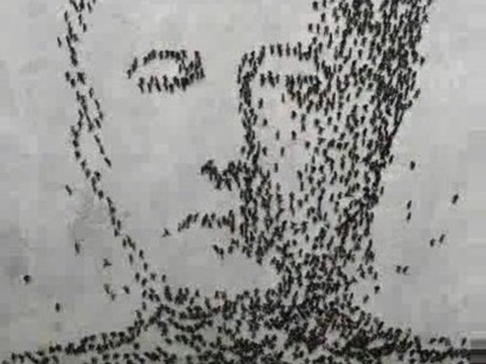 Saw 6 affiche animée