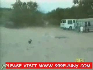 Crackers and Plums 2 Chili Cheese Dog and mad dogs