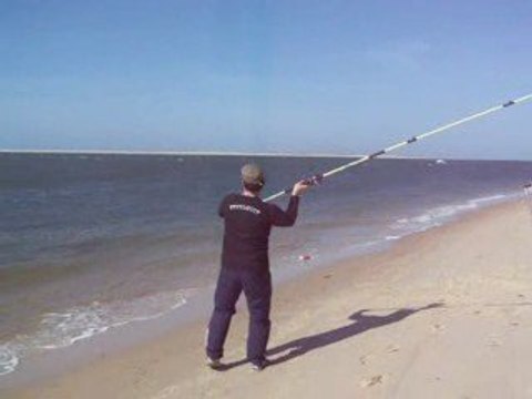 pêche en surfcasting de la dorade grise, griset