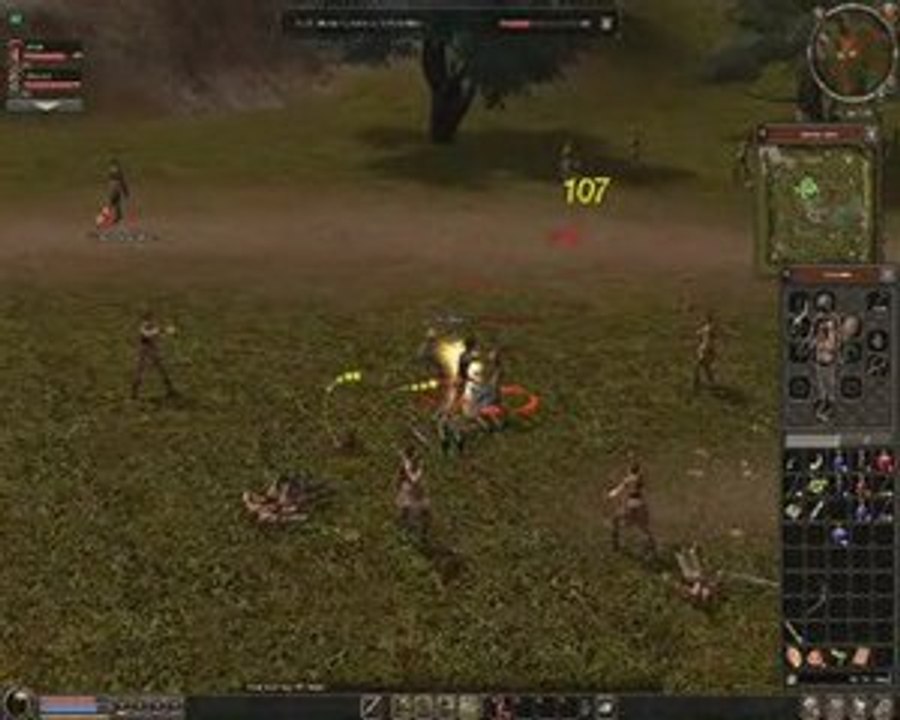 Démonstration de la technique de "pull" sur Metin2