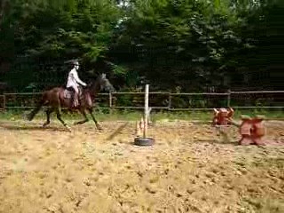 Roméo saut de puce 21/07/09