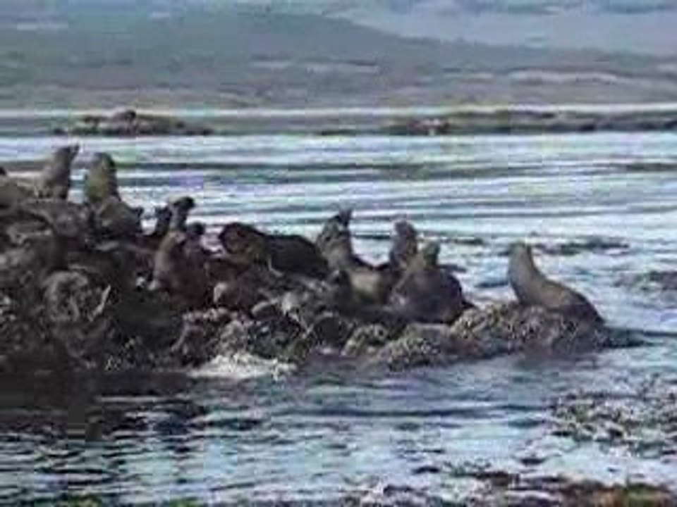 voyage en Patagonie