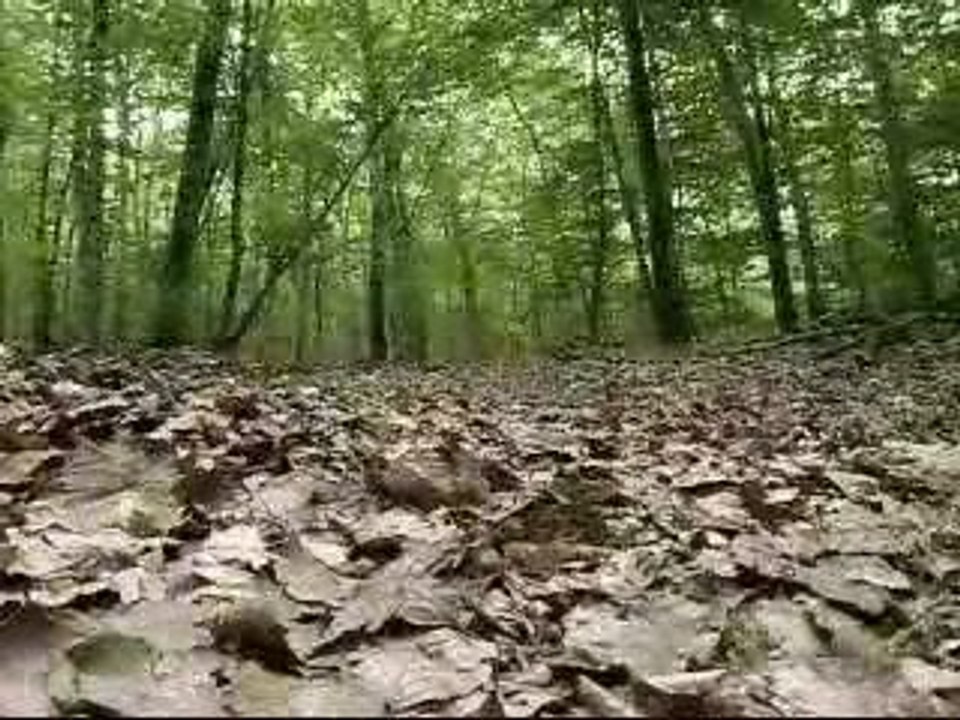 session mountainboard
