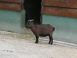 Monique appelle Denis