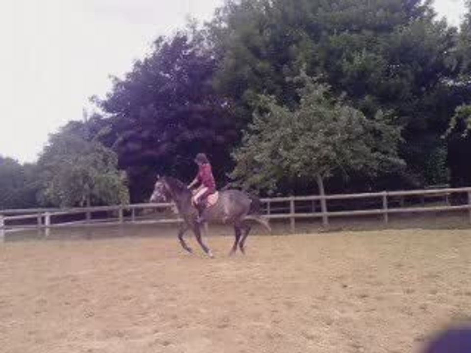 barre au sol