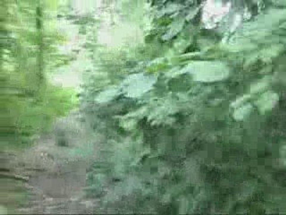 sortie quad du 18-07-2009 4/4