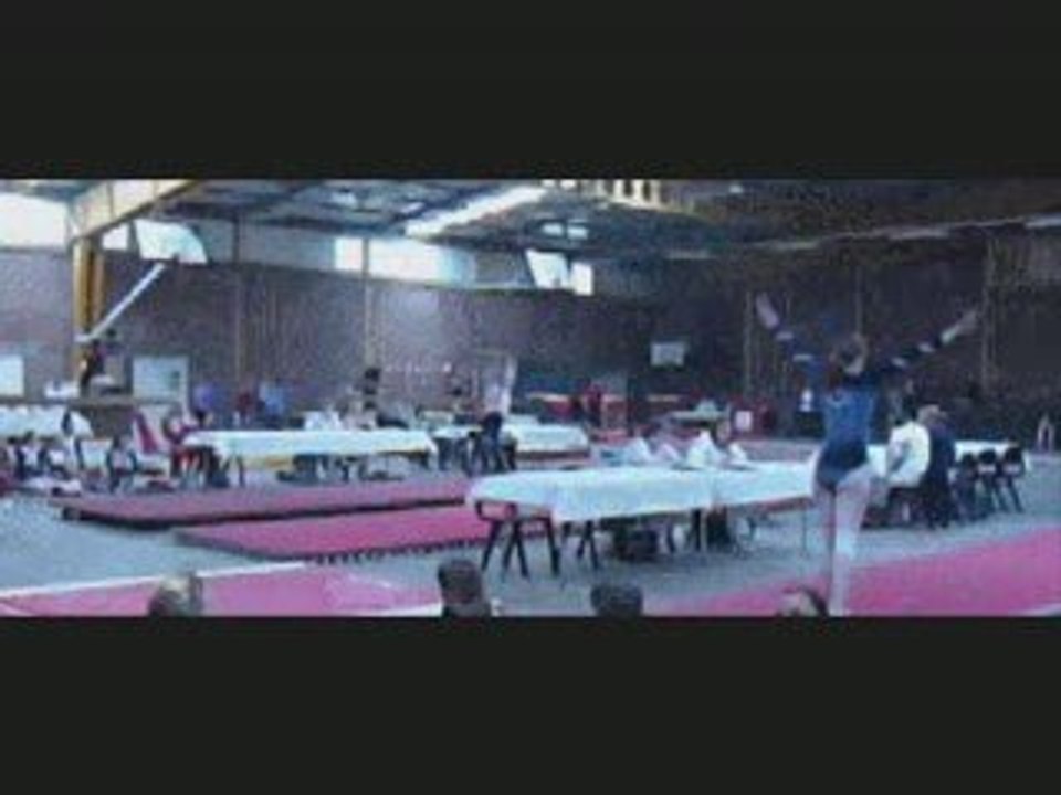 Gymnastique 2009 ...
