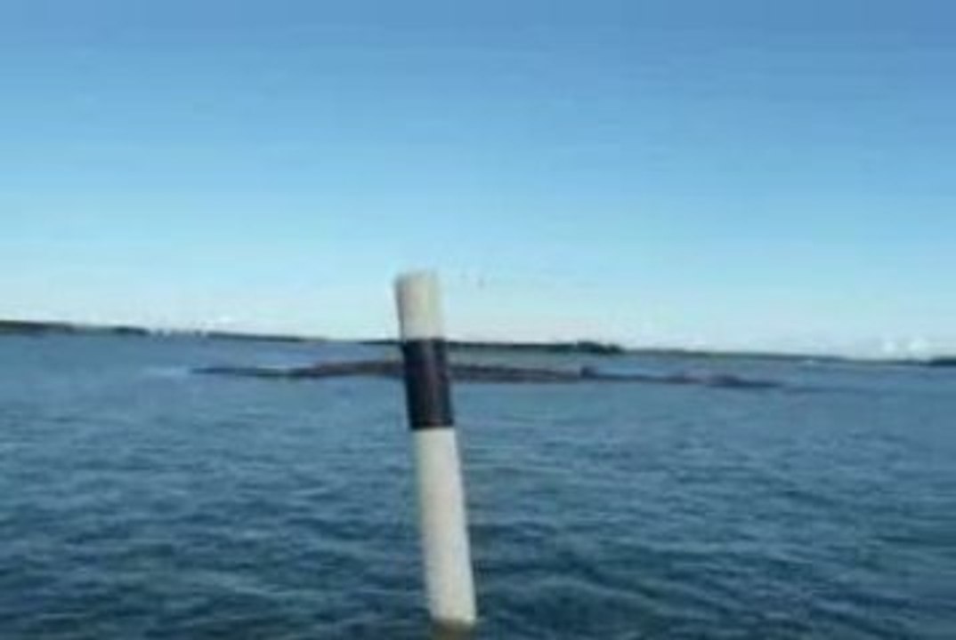bateau1