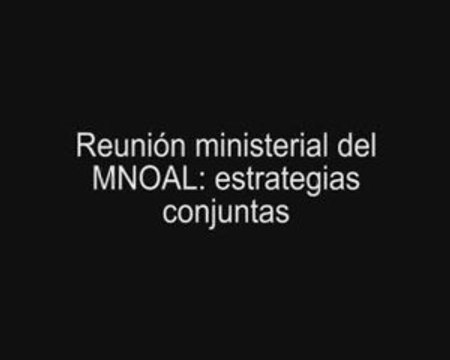 Reunión Ministerial del MNOAL Estrategias Conjuntas