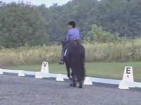 Jane Savoie Explains the Outside Rein to Dressage Riders