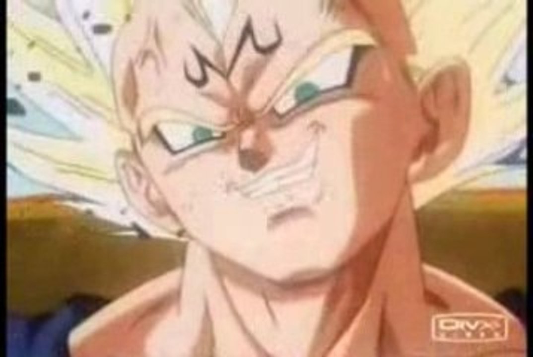 amv vegeta