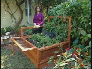 BRAND STAR ENTERTAINMENT