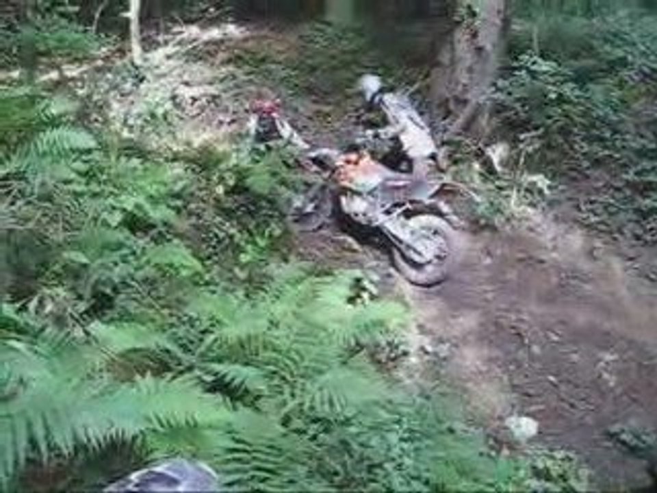 Sanglier 4 Sortie 19 07 2009