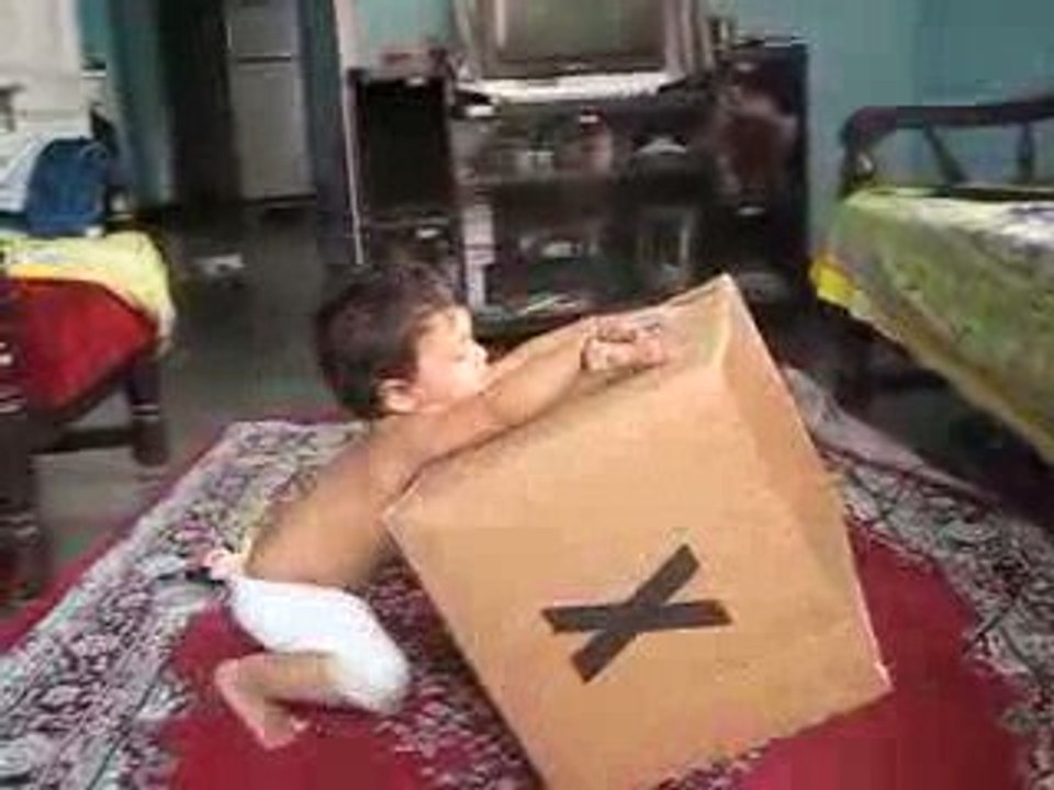 funny hummu