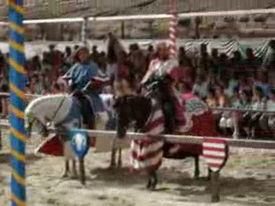 Tournois de Chevalerie:Tour d'honneur