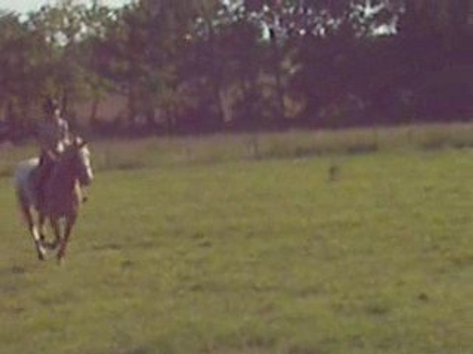 Un ptit obstacle pour la détente (moi avec quoyote)