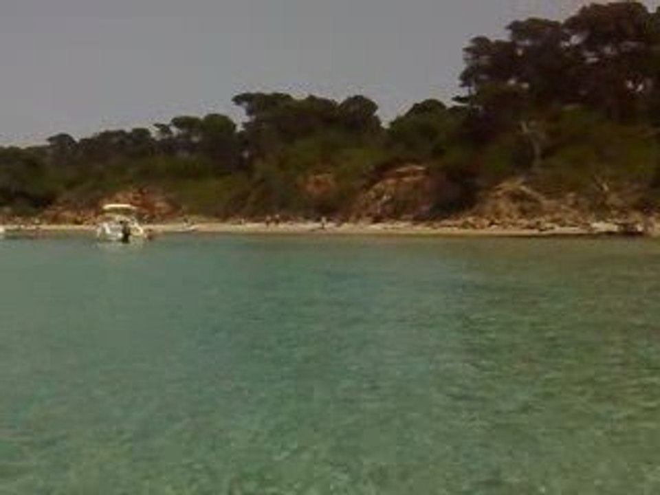 bateaplages de sables fins et pinedes provencale porquerolle